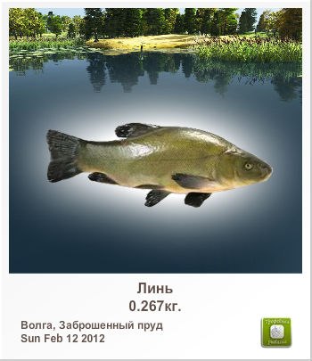 Андрей Степанов | Иркутский