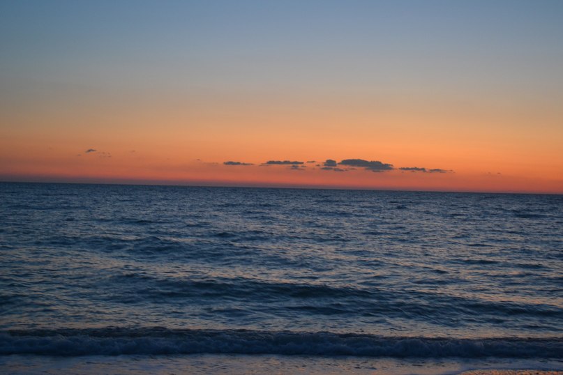 Віка Новак | Чернигов