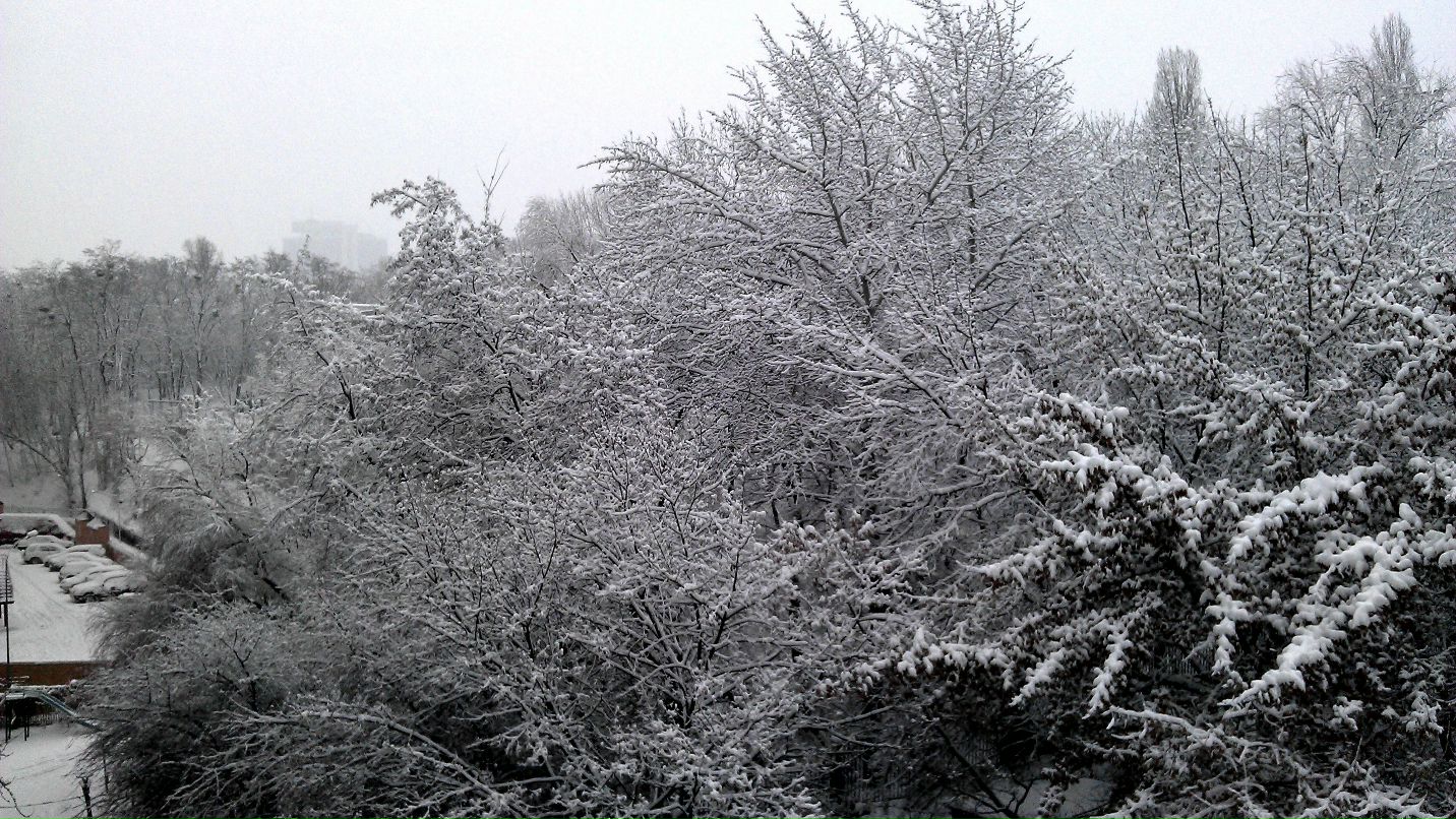 Тимофей Ефимов TimonBaton | Киев