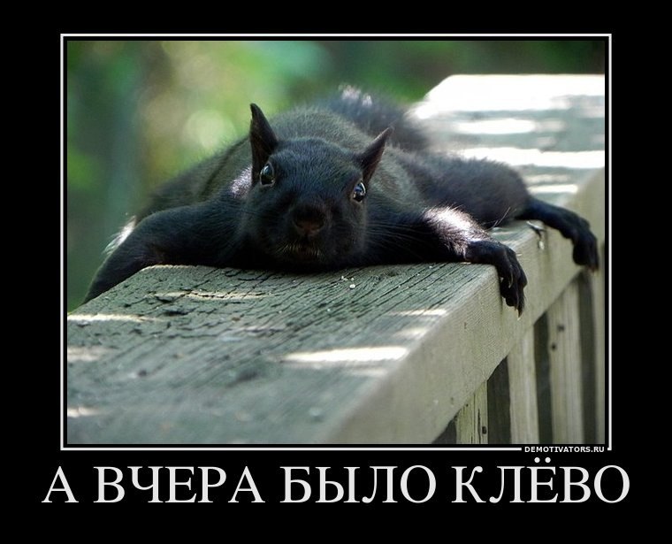 Вера Шиллер Анатольевна | Омск