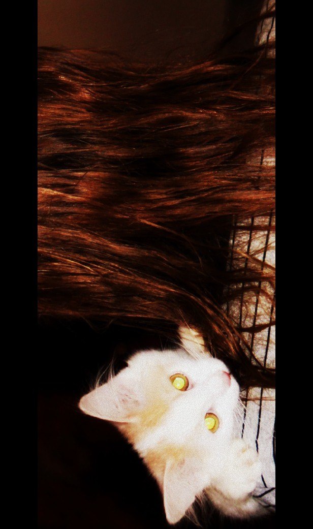 Kira De-golle Karol | Москва