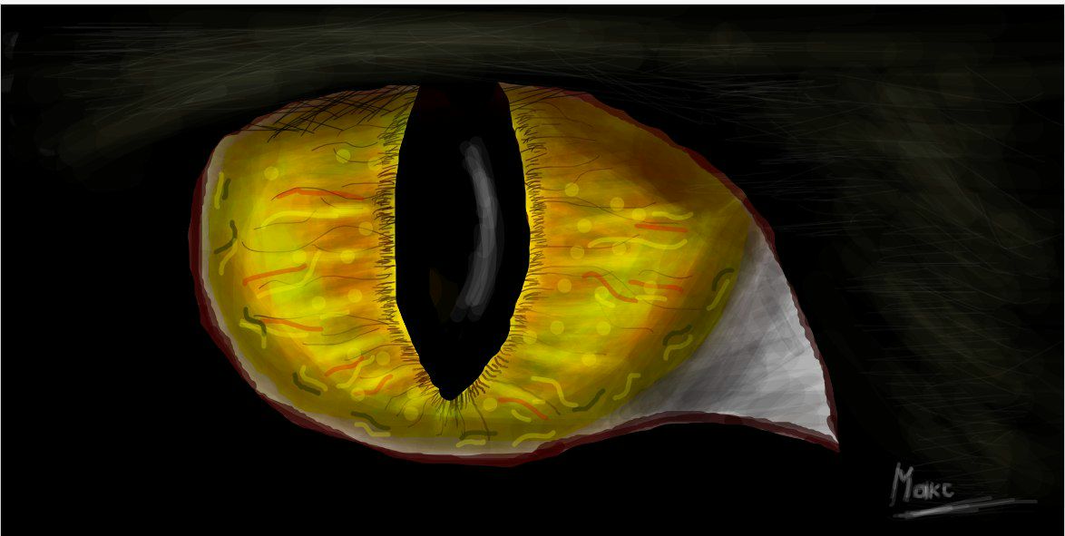 Максим Мулин | Новокузнецк