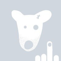 Борян Реутов Borgen | Москва