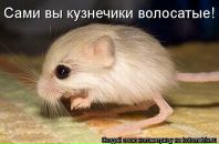 №31 Екатерина Валивач 21.02.1985: профиль, фото, статус - ВКонтакте №31 Екатерина Валивач 21.02.1985: профиль, фото, статус - ВКонтакте