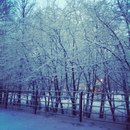 №35 Анна Махинова