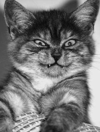 Алексей Руснак | 