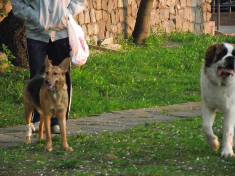 Дина Малашко | Минск