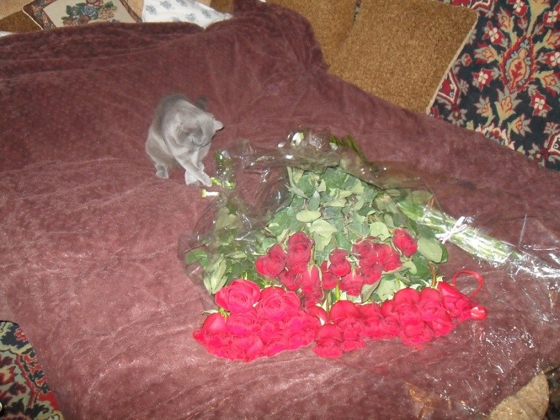 Борис Швецов | Москва