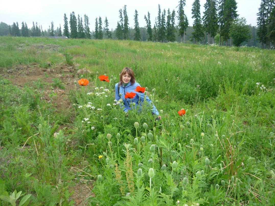 Наталья Достовалова | 