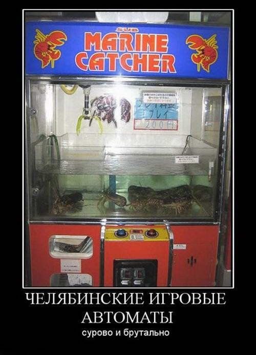 Андрей Сотник | Санкт-Петербург