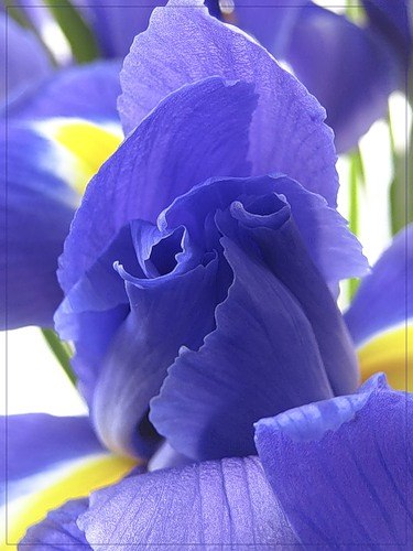 Инга Хилтунен | 