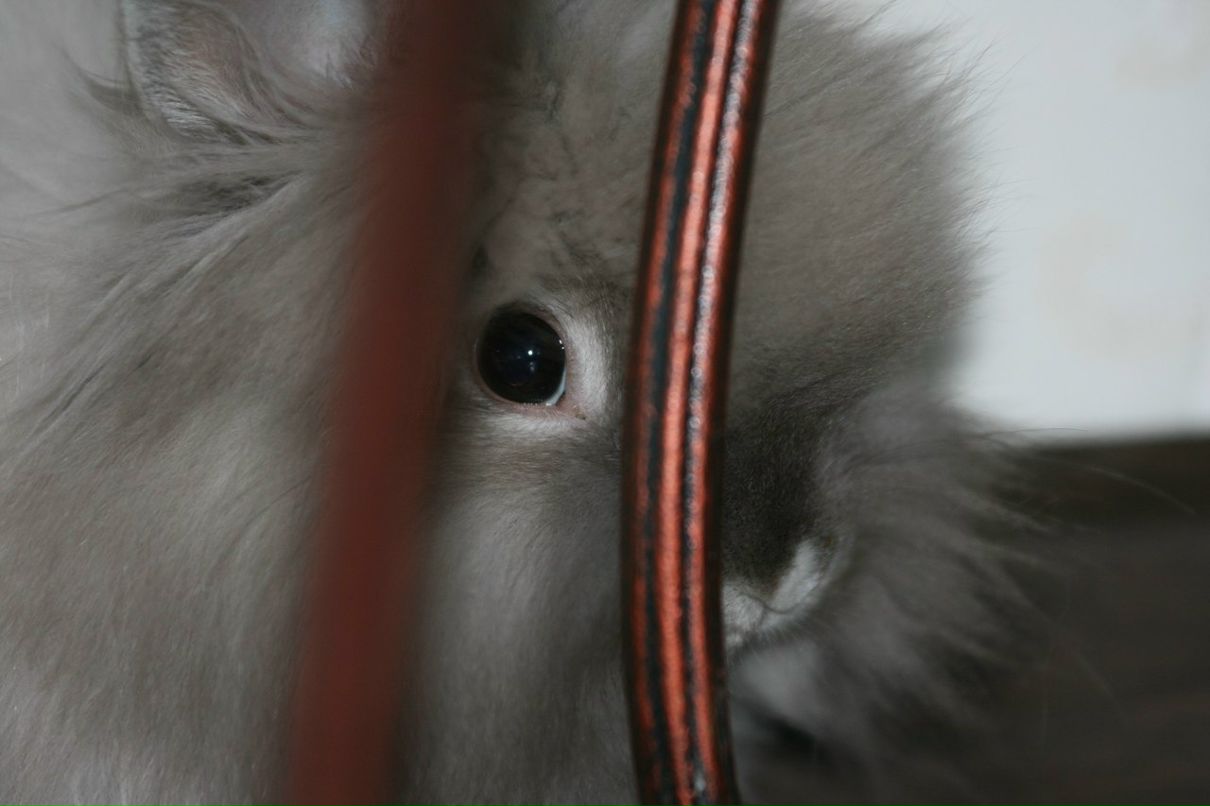 Елена Кузнецова | Санкт-Петербург