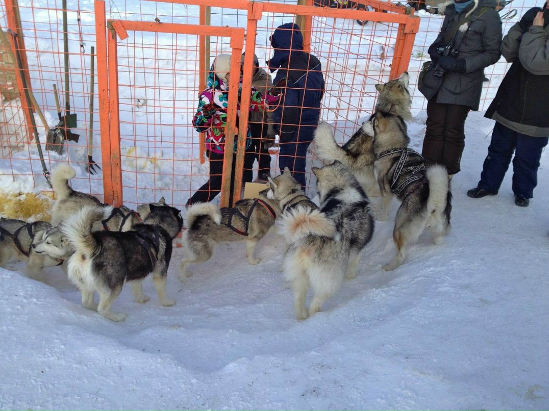 Артем Шляхтин xodzor | Москва