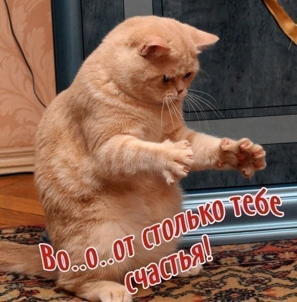 Анна Спесивцева | Харьков