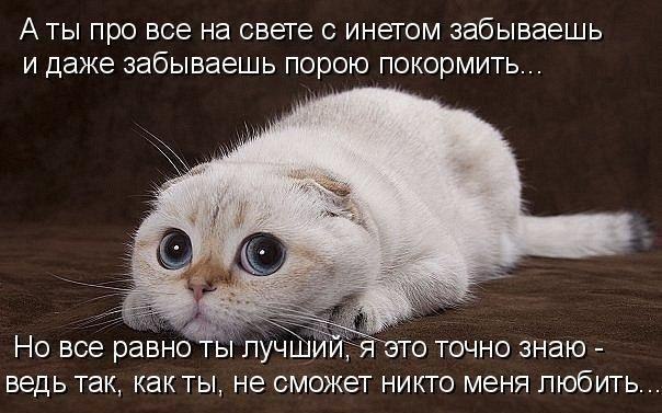 Наталья Поляк | Москва