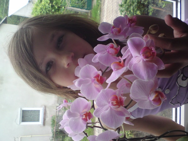 №99, Вітуська Сонце, Львов №99, Вітуська Сонце, Львов