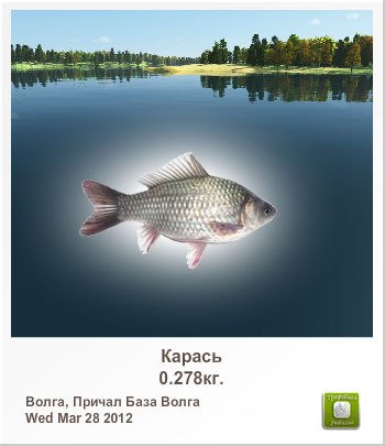 Антон Инкогнито இ ♥קƹ®Ϛ♥ईツ | Ярославль