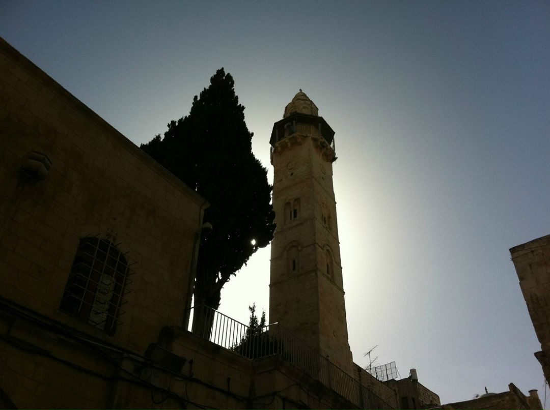 Анна Фактор | Ришон ЛеЦион