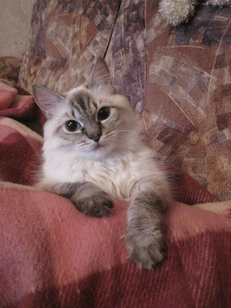 Дарья Виноградова | Санкт-Петербург