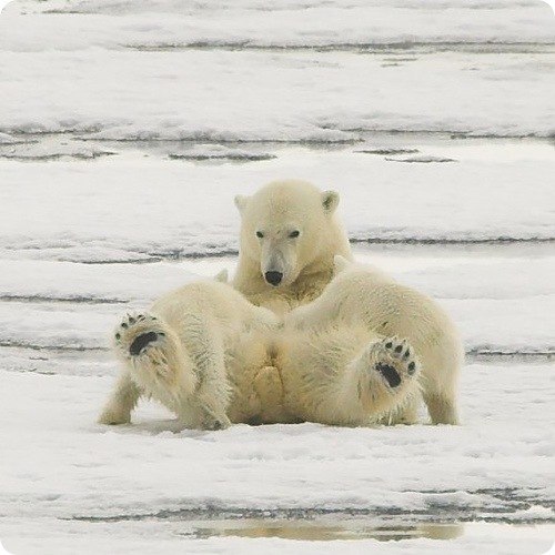 Андрей Козлов | Санкт-Петербург