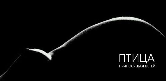 Елена Москвина | Ухта