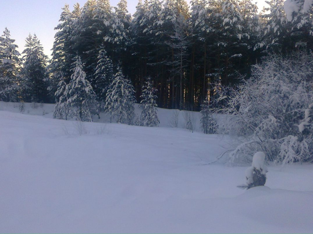 Светлана Махина | Приводино