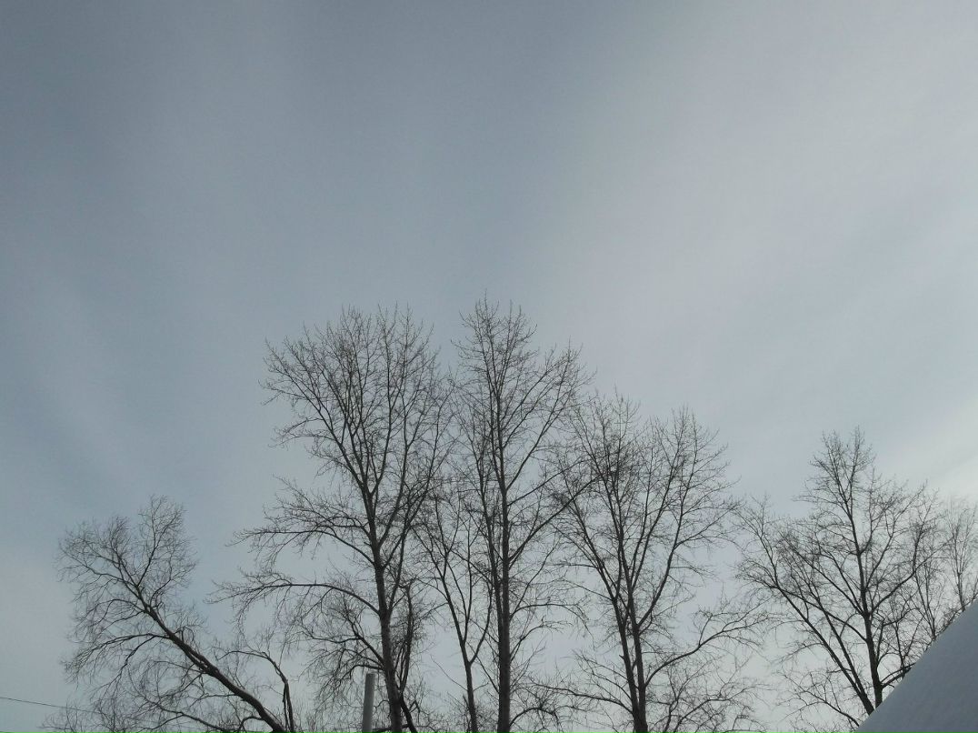 Алсу Сушинцева | Казань