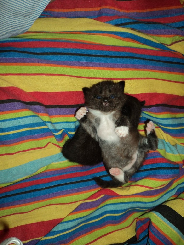 Катя Смолина | Ярославль