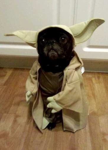 Dinochka Kirsanova | Казань