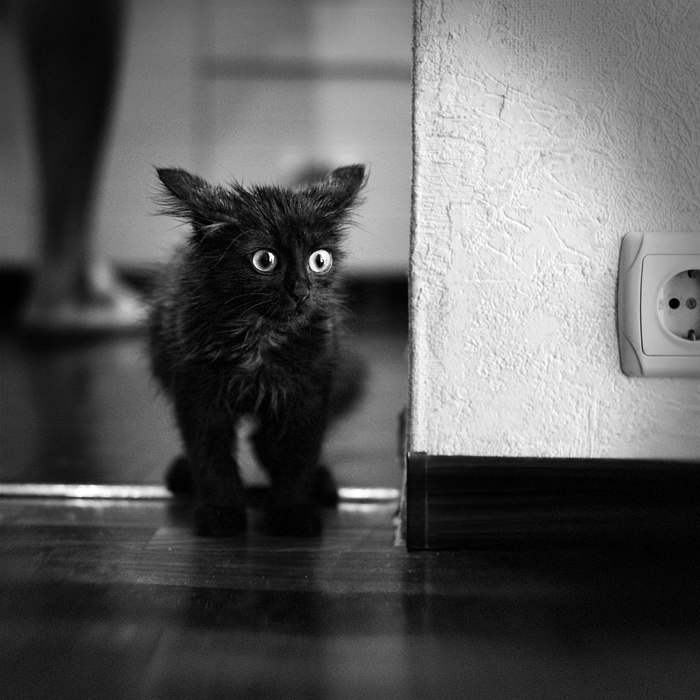 Иван Шпунтенко Yahoop | Краснодар