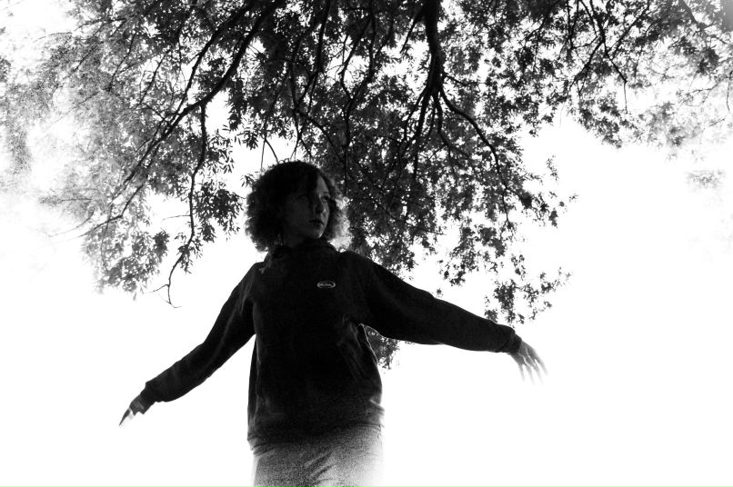 Виктория Лавина WiLDViK | 