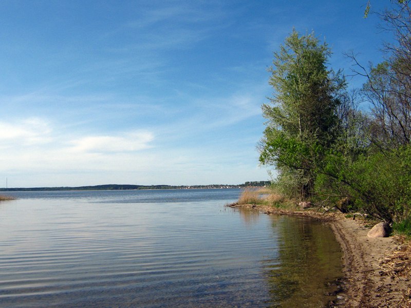 Дмитрий Морозов | Минск