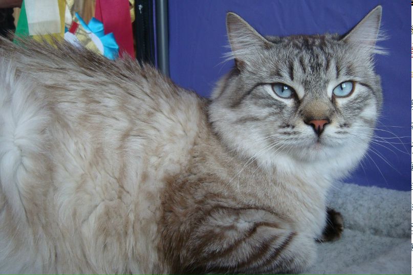 Евгения Гущина | Комсомольск-на-Амуре