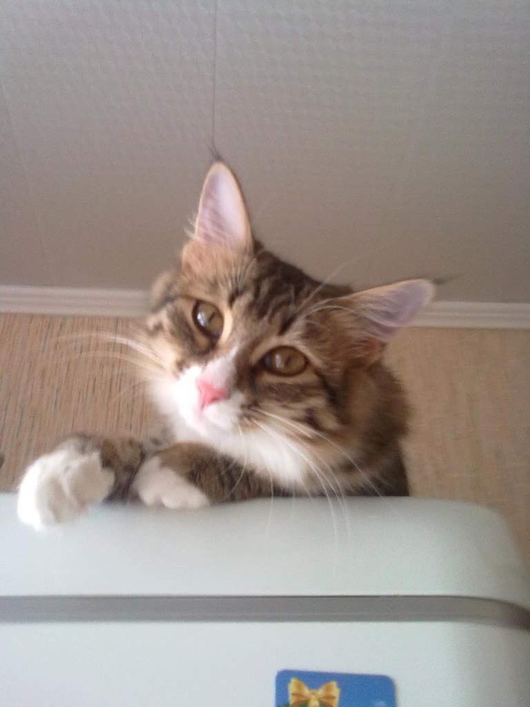 Юля Клипова | Казань