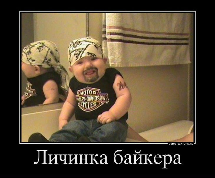 №88, Елизавета Катрич, Никополь №88, Елизавета Катрич, Никополь