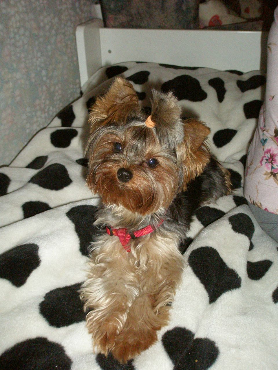 Екатерина Гуркина | Ижевск