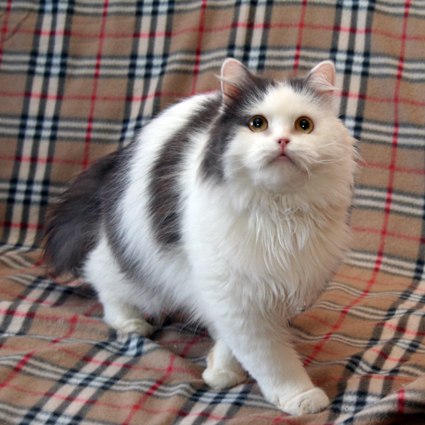 №3, Ирина Орехова, Калуга №3, Ирина Орехова, Калуга