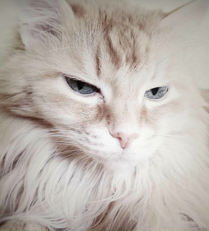 Даша Болдырева | Екатеринбург