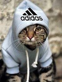 №6, Дима Демешин №6, Дима Демешин