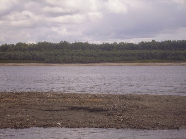 №115, Дарья Котыхова, 1.10 №115, Дарья Котыхова, 1.10