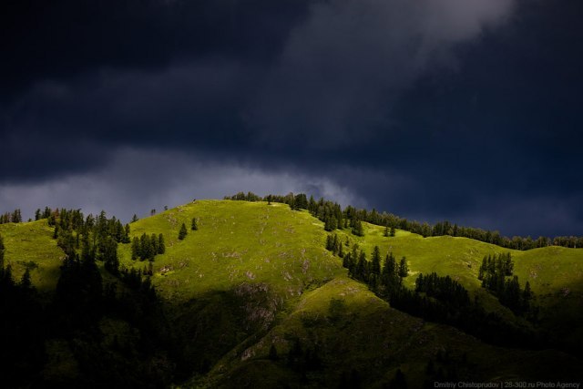 Вячеслав Солоненко Александрович | Новосибирск