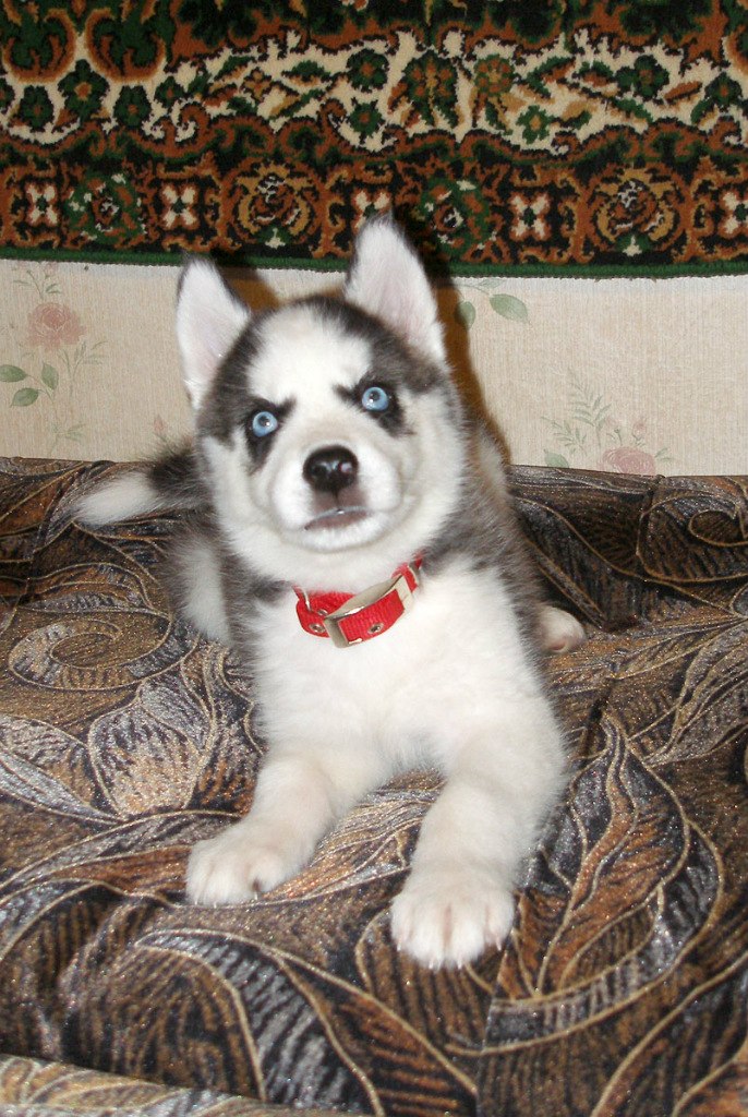 Анастасия Графкина | Одесса