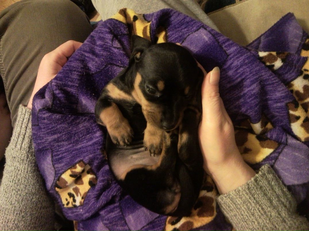 Сергей Злобин Повелитель_пряникOFF | Канаш