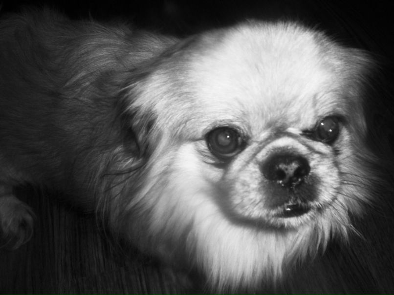 Сергей Кузовкин | Москва