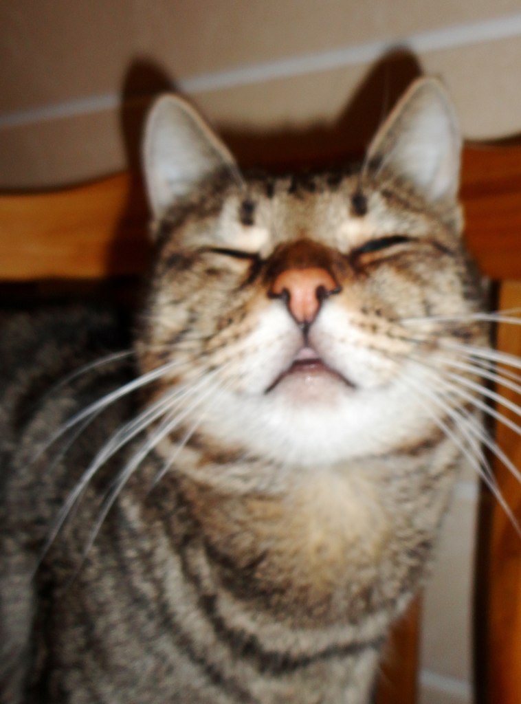 Дарья Клевцова Mirabell-Unun | Фрязино