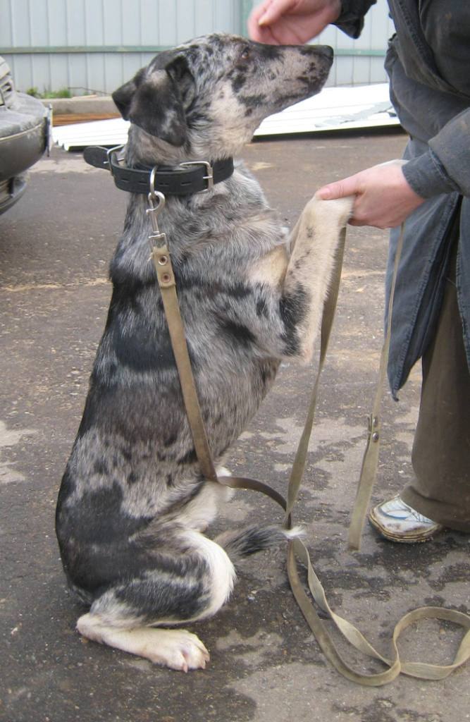 Olga Minerva | Москва