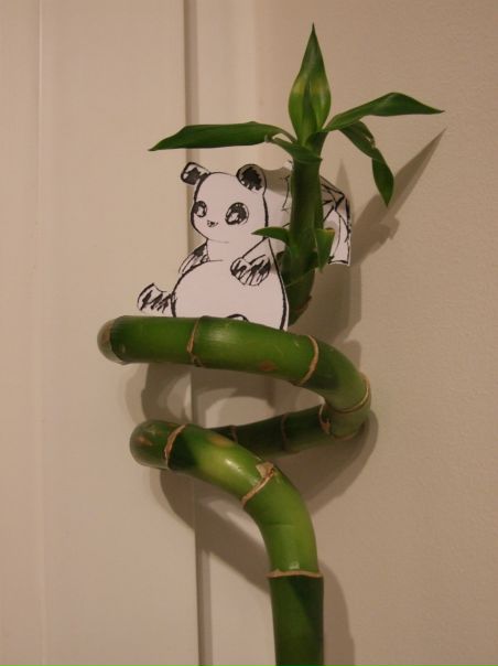 №63, Дженнифер Кин, 41 год, Санкт-Петербург №63, Дженнифер Кин, 41 год, Санкт-Петербург