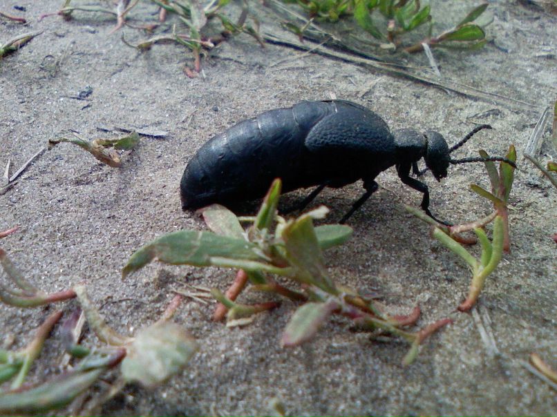 Владимир Пушкин | Потоки