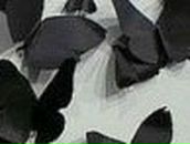 Катюшка Дук | Москва