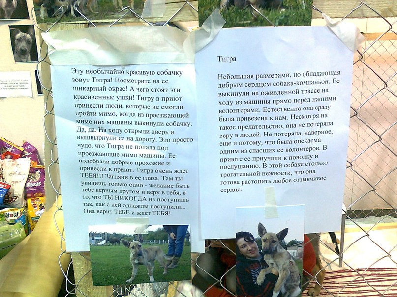 Владимир Кожевников | Санкт-Петербург